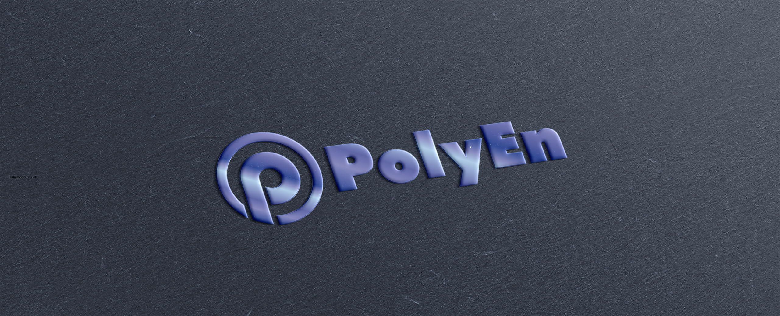 PolyEn logo ontwerp - Portfolio