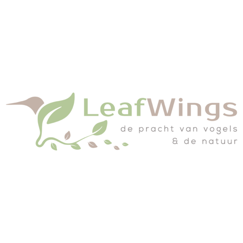 Leafwings vogel blad natuur logo